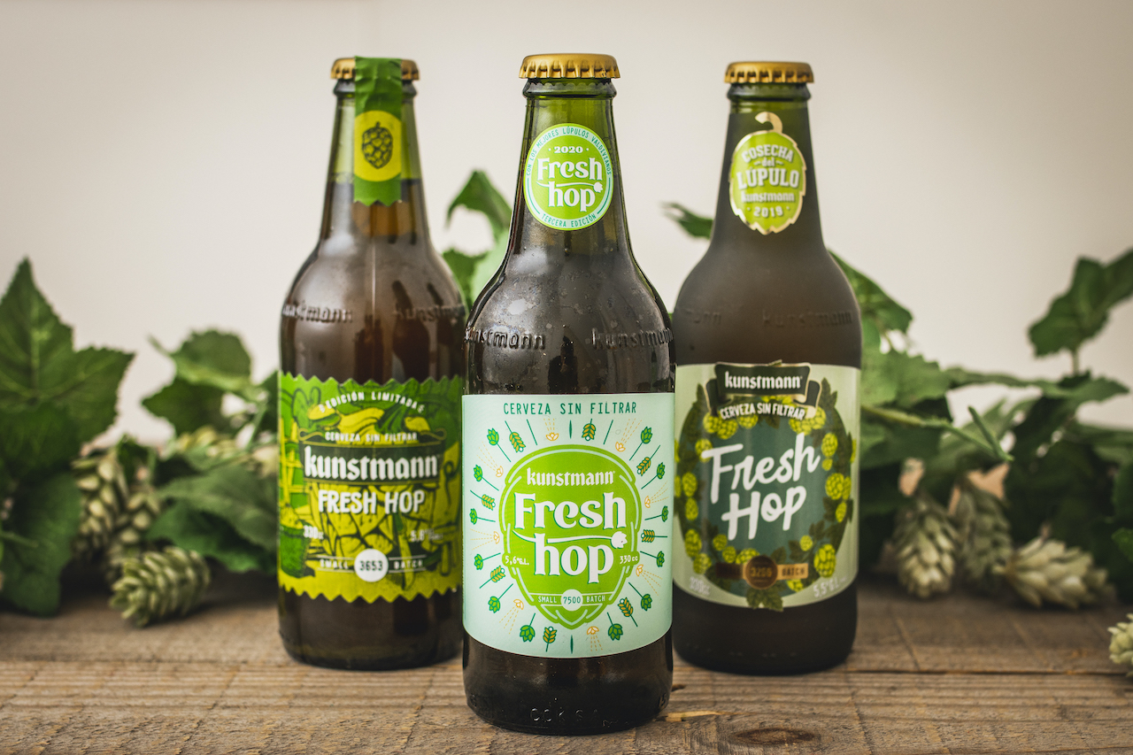 Kunstmann lanza 3ra edición de su experimental Fresh Hop elaborada con lúpulo valdiviano Kunstmann lanza 3ra edición de su experimental Fresh Hop elaborada con lúpulo valdiviano