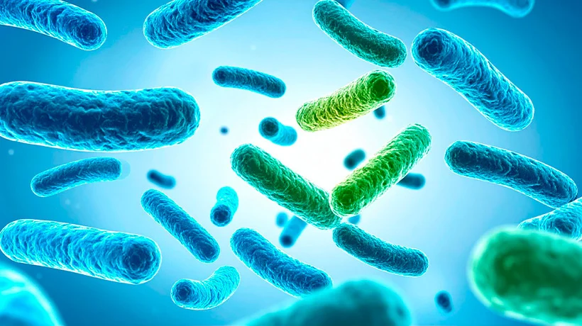 Investigadora desarrollará probióticos más resistentes usando bagazo de cerveza