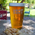 Mujeres Cerveceras CL: ¡Una nueva Comunidad!