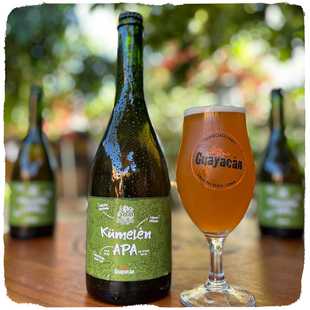 Guayacán Cerveza Experimental