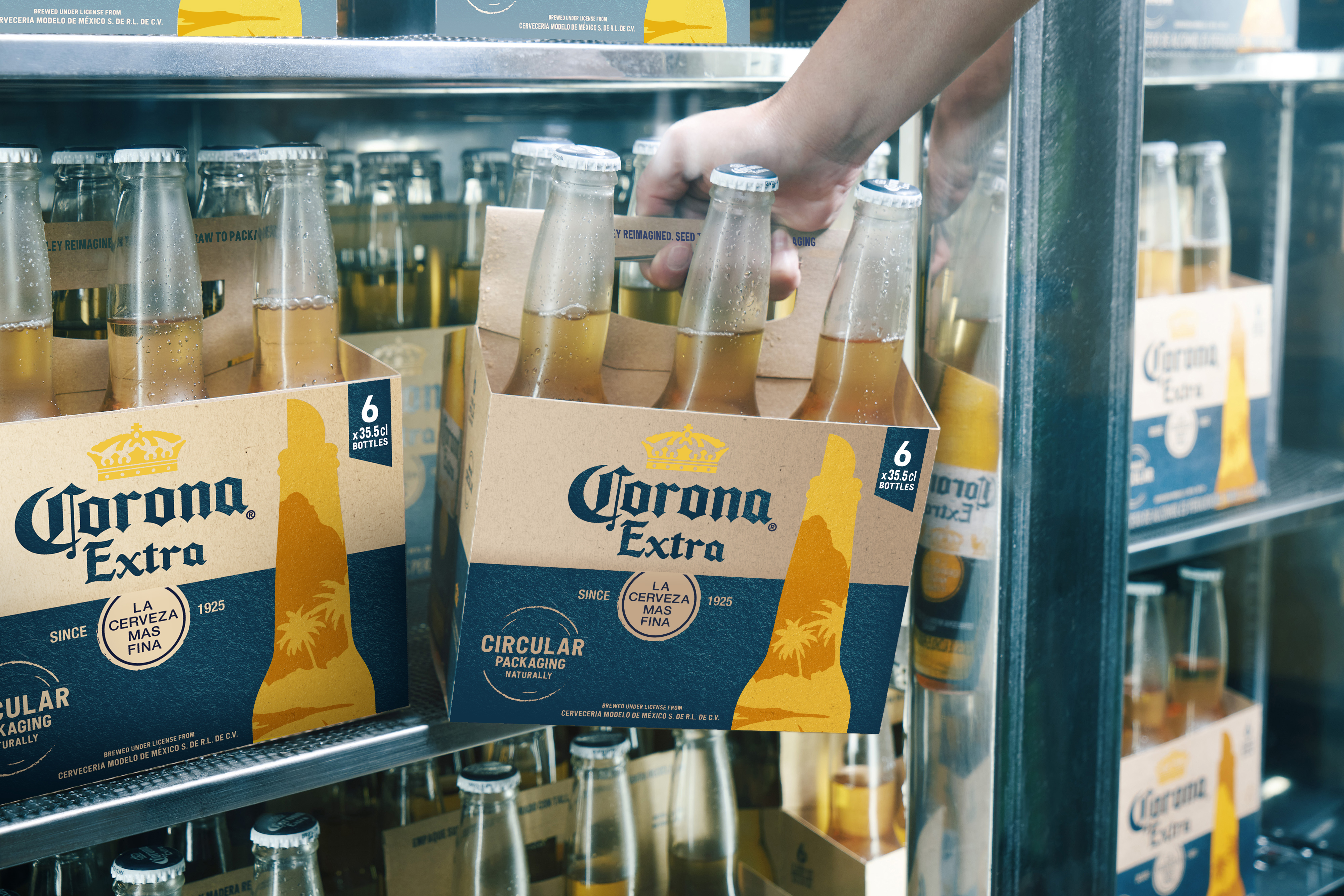 Cerveza Corona SixPack