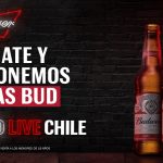 Levadura nativa para una cerveza con identidad regional