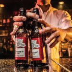 Cervecería usa algas para reducir su huella de carbono