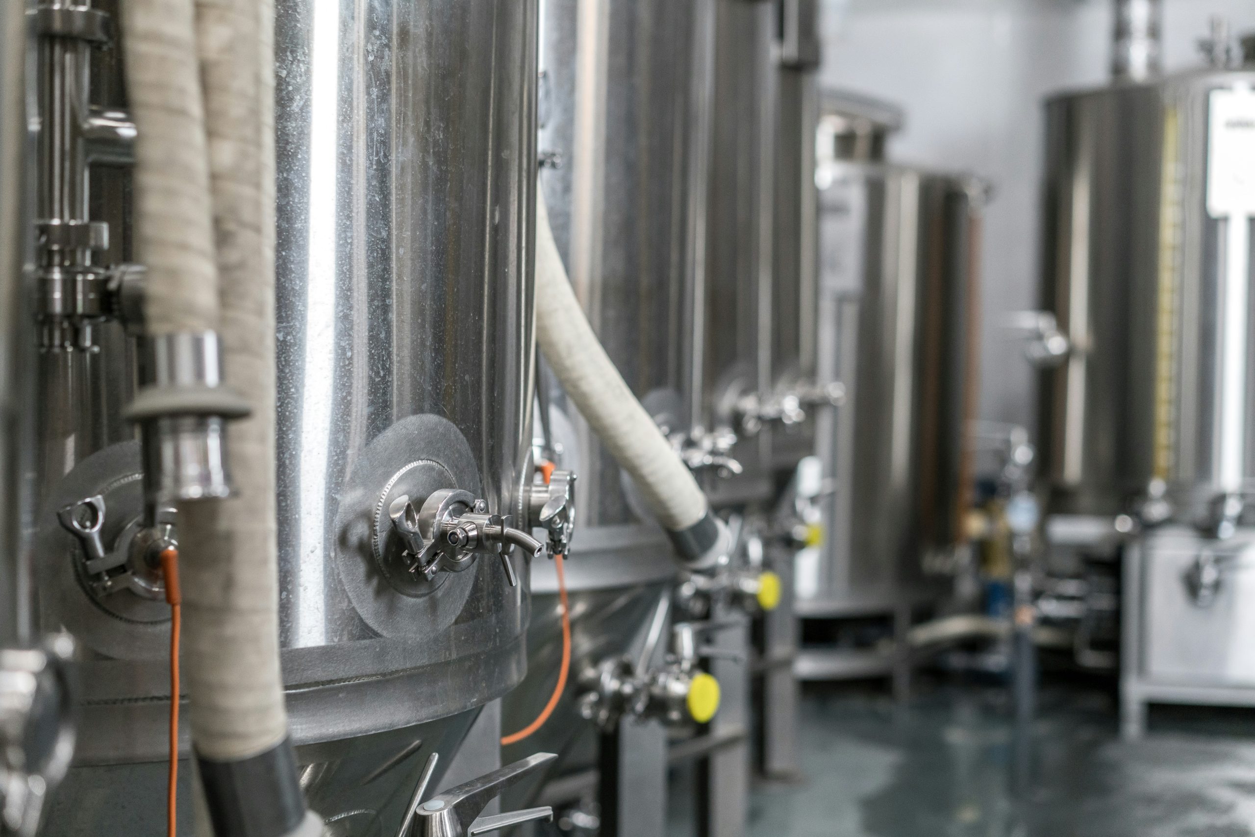 ¿Acelerar la fermentación de la cerveza con ruido blanco?