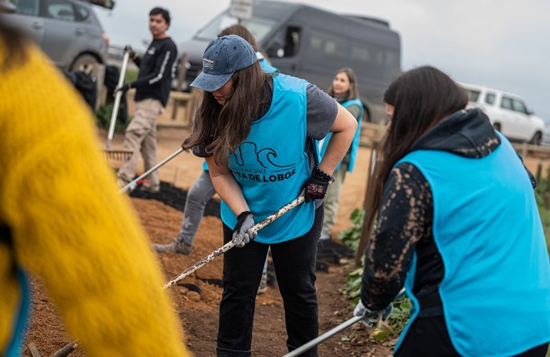 Cervecería AB InBev anuncia proyecto ecológico en Punta de Lobos por los 100 años de Corona (3)