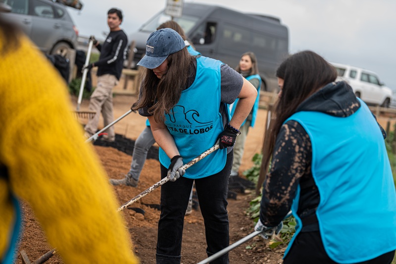 Cervecería AB InBev anuncia proyecto ecológico en Punta de Lobos por los 100 años de Corona (3)