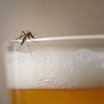 Auge cervecero en Chile marca récord de consumo durante Fiestas Patrias