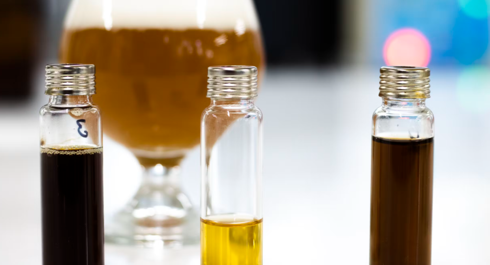 Inventan cerveza instantánea para hacer en casa, con nuevos sabores