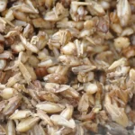 El consumo diario de cerveza, con o sin alcohol, aumenta la diversidad bacteriana intestinal en hombres sanos