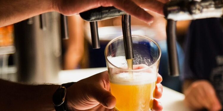 Una bacteria argentina revolucionó la cerveza sour: el hallazgo de Jabalina que llegó a la World Beer Cup
