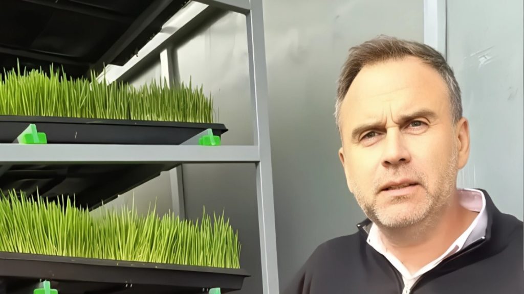 crean forraje hidropónico con bagazo de cerveza