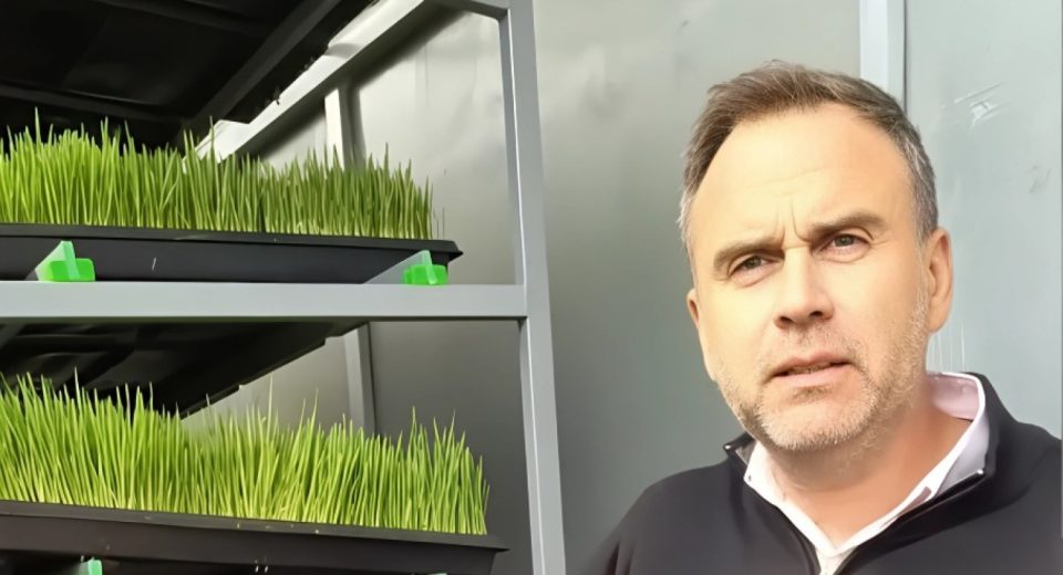 crean forraje hidropónico con bagazo de cerveza