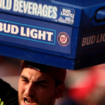 Innovación sostenible: la primera cervecería solar de Chile crea cerveza con pulpa de papaya