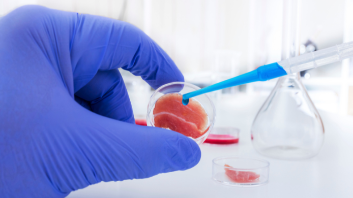 Carne hecha con levadura de cerveza