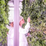 Patagonia recurre a Deschutes para elaborar cervezas norteamericanas