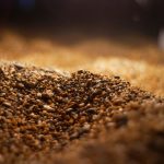 La nueva cerveza que lanza Damn por sus 150 años de vida: Bohemia Reserva 150