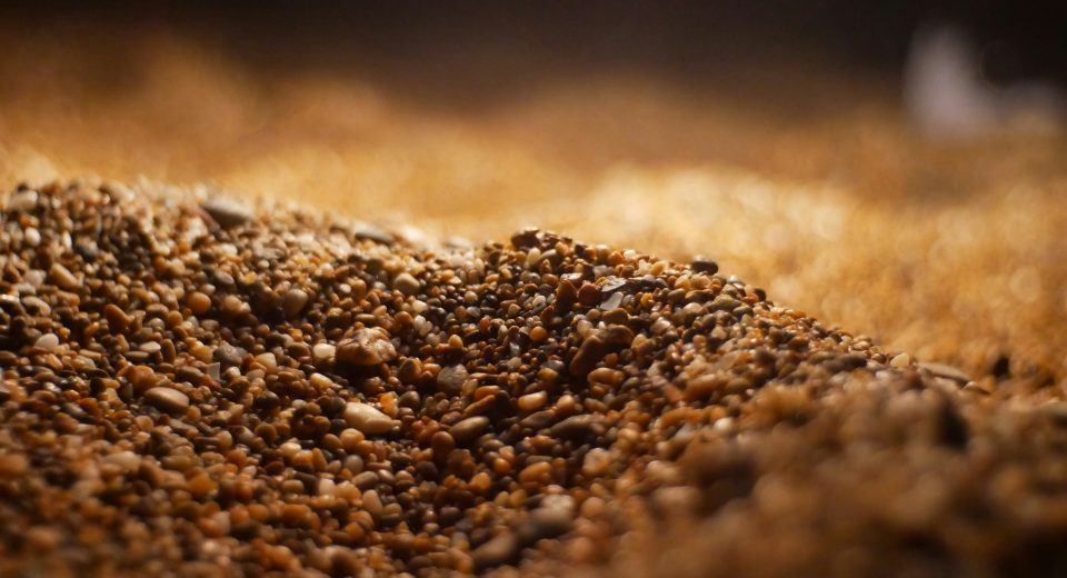 La UAB desarrollará un biofertilizante enriquecido con selenio con los residuos del grano de la cerveza