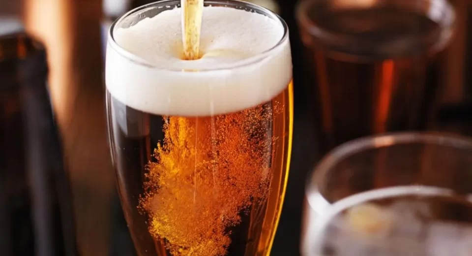 Reciclar cerveza para cuidar tus plantas