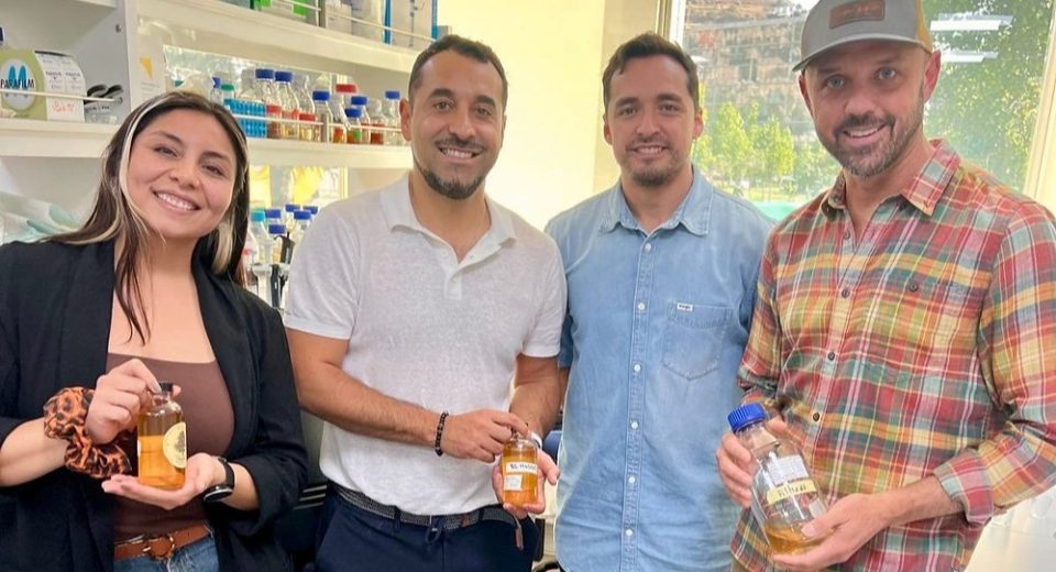 Cerveza con levaduras chilenas