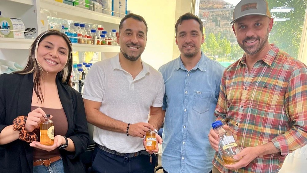 Cerveza con levaduras chilenas