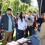 Cerveza en Chile: consumo, tradición y matices nutricionales