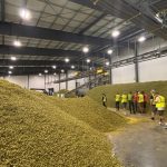 La fábrica de Heineken en Brasil produce 300 millones de latas de cerveza en solo 4 meses