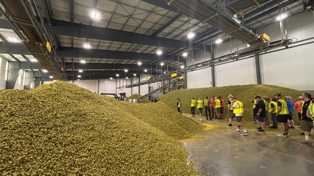 Qué países son los principales productores de lúpulo a nivel mundial