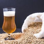 Investigadores desarrollan protectores solares a base de lúpulo procedente de la fabricación de cerveza