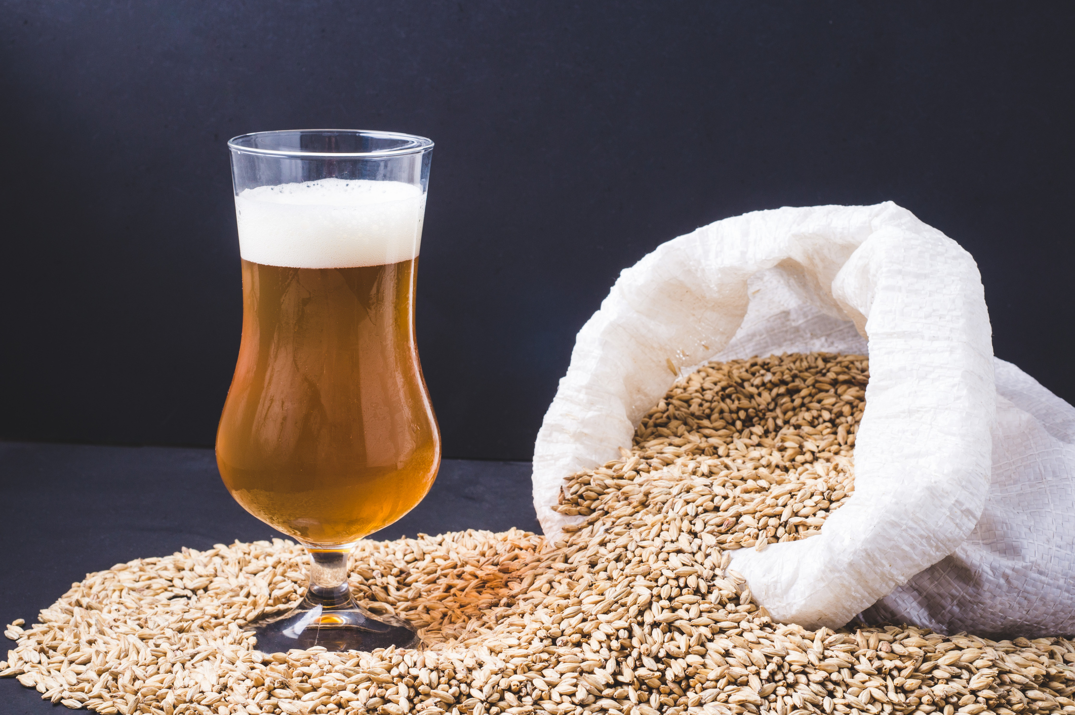 Científicos estudian el potencial del bagazo cervecero para proteger la salud intestinal y hepática