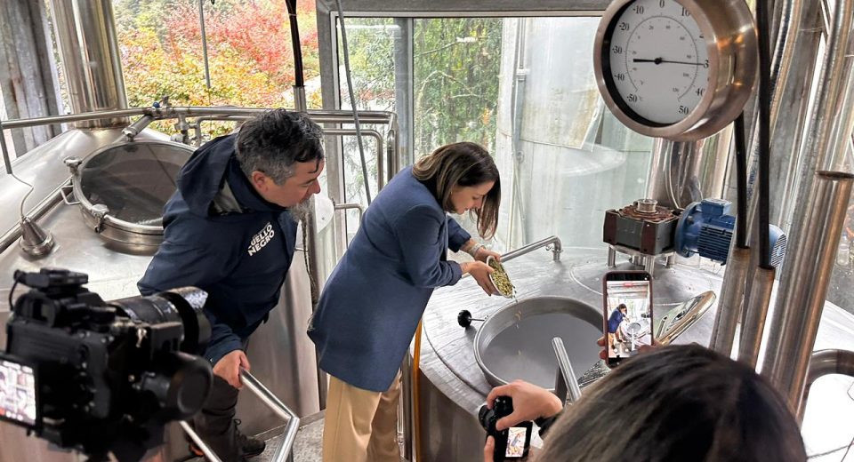 Elaboran cerveza colaborativa Valdivia Pilsner para evento cervecero de invierno