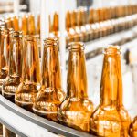 Lúpulo, la planta de la cerveza: para qué sirve y otros usos